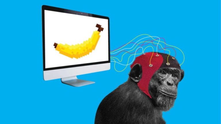 Neuralink-links-monkey-brain-to-computer-and-can-play-1024x576-1.jpg