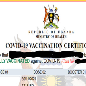 COVID-19-Vaccination-Certificate.jpg
